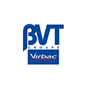 BVT