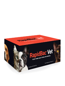 rapidbacvet